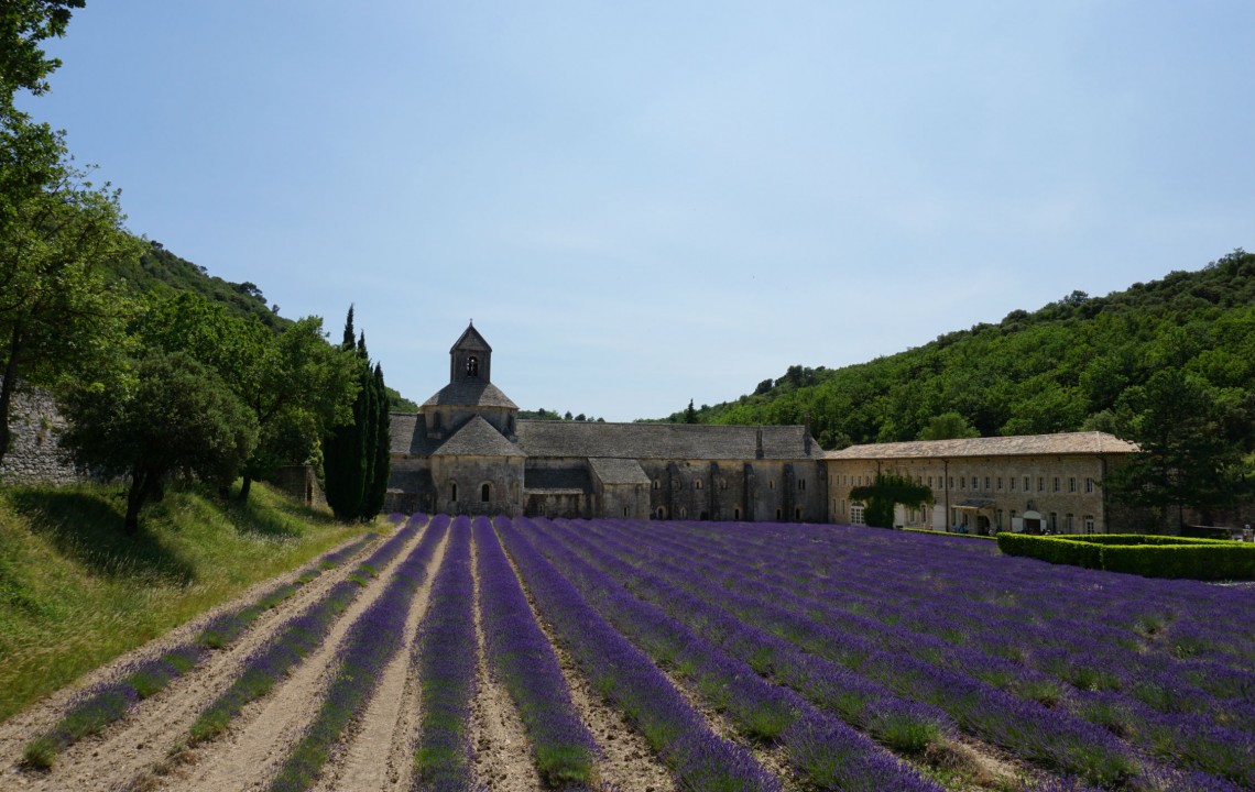 Frankreich Reise Tag 4: Lavendel in der Provence