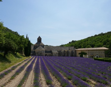 Frankreich Reise Tag 4: Lavendel in der Provence