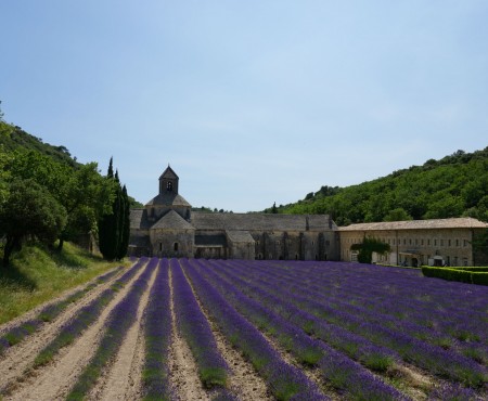 Frankreich Reise Tag 4: Lavendel in der Provence