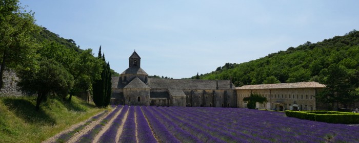 Frankreich Reise Tag 4: Lavendel in der Provence
