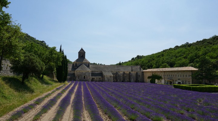 Frankreich Reise Tag 4: Lavendel in der Provence