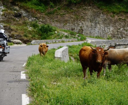 Korsika 2016 Tag 8: Goodbye Korsika, Hello Savona