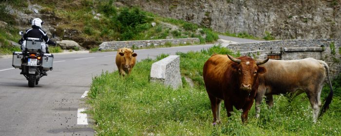 Korsika 2016 Tag 8: Goodbye Korsika, Hello Savona