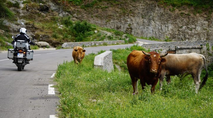 Korsika 2016 Tag 8: Goodbye Korsika, Hello Savona